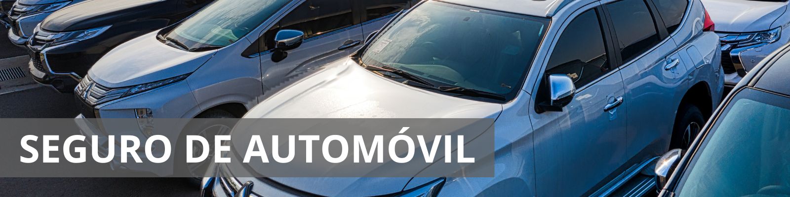 Imagen de varios autos estacionados, con el texto Seguro de automóvil